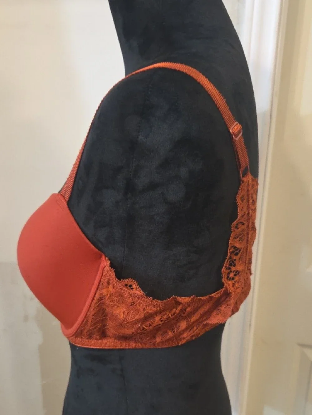Auden Seamless Padded Bra in Rust - Everyday Support Lace Smooth